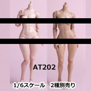 yWorldBoxzAT202 1/6 Girl Body K[{fB 1/6XP[ {fBf fbTl`