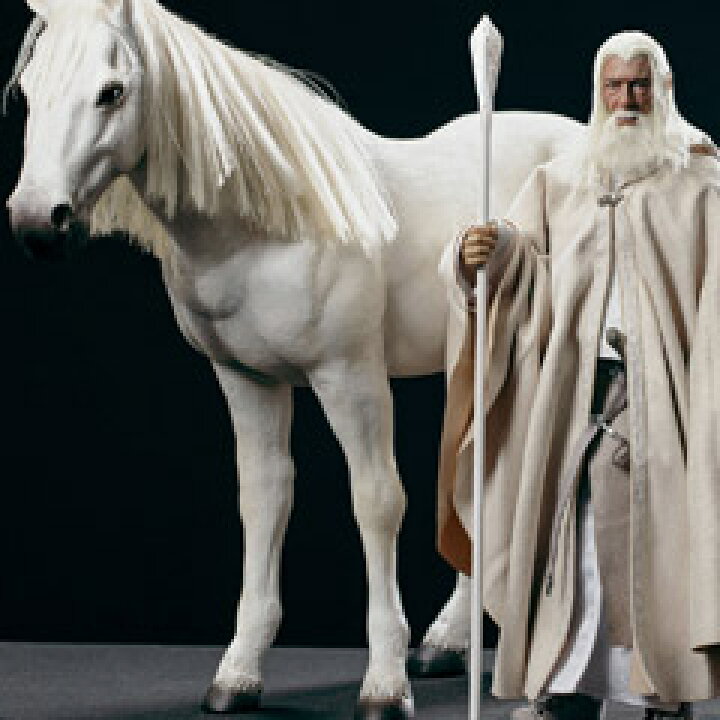 楽天市場】【ASMUS TOYS】The Crown series LOTR003 The Lord of the 