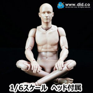【DID】OA60003 1/6 All-New Advanced Body (Slim Ver.) 2.0 1/6スケール 男性ボディ素体 デッサン人形 ヘッド付