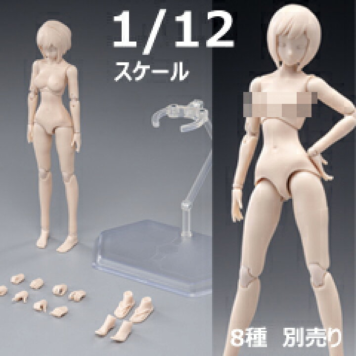 楽天市場】【86TOYS & Longshan Metal】1/12 half pack of glue female 