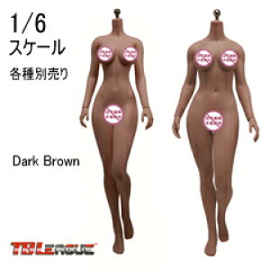 yTBLeaguezFemale Super Flexible Seamless Bodies Dark Brown TB[O 1/6XP[ V[X{fB fbTl` iwbhȂj