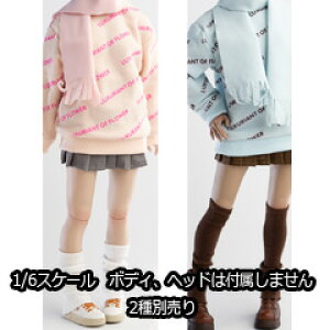 yWorldBoxzCA010 Pink/Blue 1/6 Sweater and Pleated skirt Clothing set  Z[^[XJ[g 1/6XP[ RX`[ Zbg