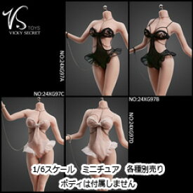 【VICKY SECRET toys】VStoys 24XG97A/B/C/D Sexy Lace Lingerie Set セクシーランジェリードレスセット 1/6スケール 女性ドール用コスチューム
