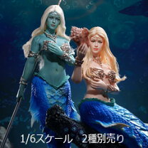 楽天市場】1/6 素体の通販