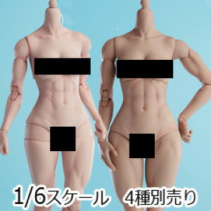 yWorldBoxzAT206 A/B 1/6 Girl Body }bX K[{fB 1/6XP[ ؓ {fBf fbTl`