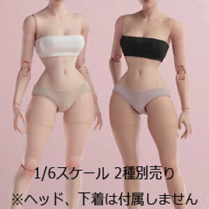 yWorldBoxzAT210 1/6 Girl Body K[{fB XvEGXg 1/6XP[ {fBf fbTl`