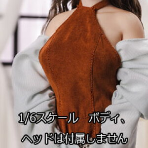 yi8TOYSzi8-H006C-D 1/6 Shadow Clothing 1/6XP[ h[EtBMApRX`[