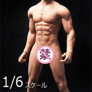 yOCTPLYzOM001 1/6 Fully Encapsulated Male Body (Realistic Muscle Body) Wheat  V[Xj{fB fbTl` 1/6XP[j{fBf