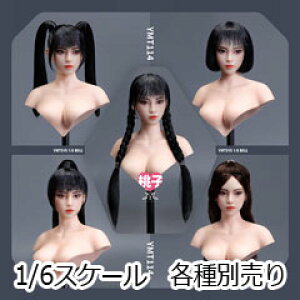 yYMtoyszYMT114 A/B/C/D/E 1/6 Beauty Headsculpt q 1/6XP[ A ዅ wbh