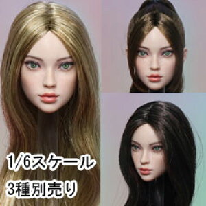 yJKTOYSzK-006 ABC 1/6 Head Sculpture Yumi ~ 1/6XP[ A ዅ wbh