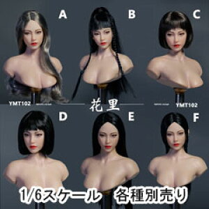 yYMtoyszYMT102 A/B/C/D/E/F 1/6 Movable Eye Female Headsculpt ԗ 1/6XP[ A ዅ wbh