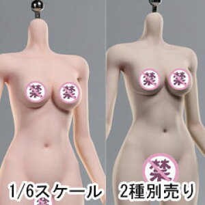 yPuzzletoyszps001pw/ps001sw 1/6 super movable steel bone LSR Korean girl group body Female body (Without Head) KPOPACȟ^ 1/6XP[ V[X{fB fbTl`iwbhȂj