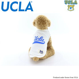 送料無料 動画有り UCLA(ユーシーエルエー） 犬服 Tシャツ ドッグウエア UCLA-0429 カレッジ アメカジ