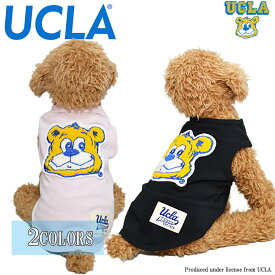 送料無料 UCLA(ユーシーエルエー） 犬服 Tシャツ ドッグウエア UCLA-0523 カレッジ ロゴ キャラクター アメカジ