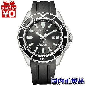 y2,000~OFFN[|{Xܓ3_10{A2_ł5{zBN0190-15E CITIZEN V`Y PROMASTER v}X^[ MARINE _Co[200m ubN  Y rv Ki 