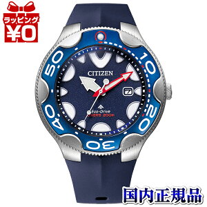 BN0231-01L CITIZEN シチズン PROMASTER プロマスター メンズ 腕時計 国内正規品 送料無料