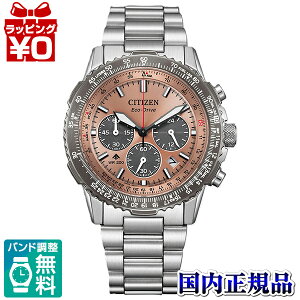 CA4664-60X CITIZEN V`Y PROMASTER v}X^[ dGR hCu@NmOt Y rv Ki 