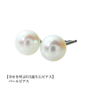 y2,000~OFFN[|{Xܓ3_10{A2_ł5{zipebirthday06ja sAX p[sAX PT900 X^bhsAX 6 fB[X Y  j v[g ꗱ sAX 5mm Vv v