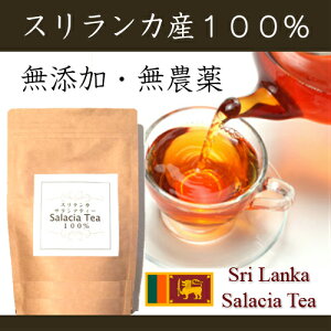  3グ1v[gI@MdȁyXJYzpbN@TVA@_CGbgeB[TVAeB[100100gIY _֔/u/