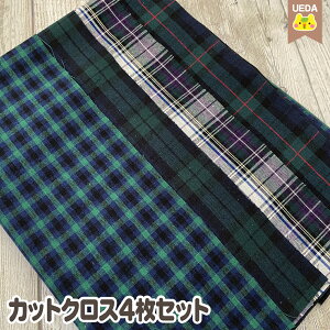 `FbN JbgNX 4 Zbg ^[^`FbN D n ͂ Zbg y [ւ 3Zbg(3) ܂ Ή\ z FAB10