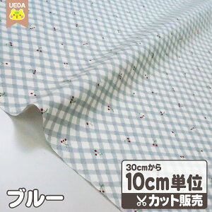 IbNXn z `F[ `FbN ݃J[ y [ւ 250cm(25)܂ Ή\ 10cmPʃJbg z