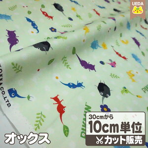 y12/1 P5{z sN~ n z s[X ubN@IbNXvgy [ւ 2.5m(25)܂ Ή\ 10cmPʃJbg z