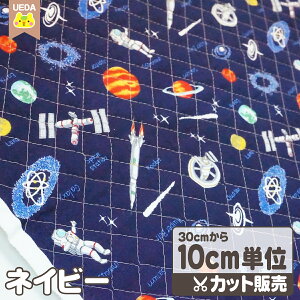 yP2{ 11/14 10:00`z LeBO n z Fւ̗ y [ւ 60cm(6)܂ Ή\ 10cmPʃJbg z