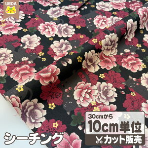 y11/1 P5{z yԁz n z  LƉO a QUILT GATE S㇗ LgQCg Rbgvg y [ւ 300cm(30)܂ Ή\ 10cmPʃJbg z