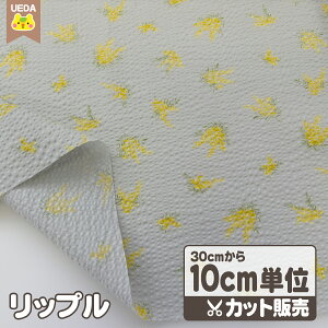 yP2{ 11/20 20:00` z bv n ~Ủ r ׂ  čՂ y 10cmPʃJbg [ւ2.0m(20)܂őΉ\ z