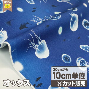 IbNX n z NQ C y [ւ 250cm(25)܂ Ή\ 10cmPʃJbg z