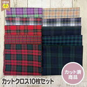 `FbN JbgNX 炱 10 Zbg ^[^`FbN D n ͂ Zbg y [ւ 2Zbg(2)܂ Ή\ z FAB10