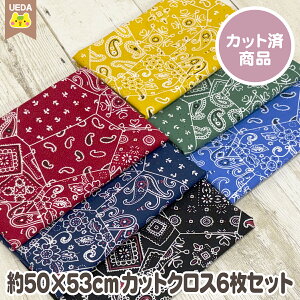 yP2{ `11/27 1:59z JbgNX Zbg o_i V[`On 50cm×53cm 6 y [ւ 2Zbg(2)܂ Ή\ z