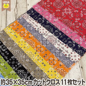 yP2{ 11/14 10:00`z JbgNX Zbg NEWo_i  35×35cm 11Zbg yCY[ o_i ͂ y[2Zbg܂őΉz