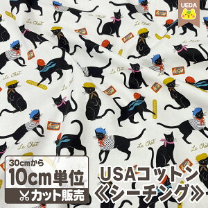 USARbg p̍L x[X V[`O n zy [ւ 300cm(30)܂ Ή\ 10cmPʃJbg z