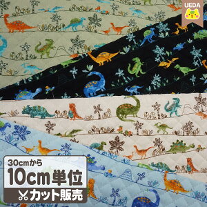 y12/4 2010%OFFz LeBO n  i {[_[ y [ւ 60cm(6)܂ Ή\ 10cmPʃJbg z cLDAYΏ FAB10