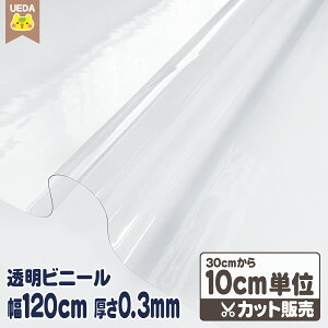 yP2{ `10/17 9:59z e[uNX rj[   0.3mm 0.3~ 120cm ؂蔄 e[uNXn z  rj[V[g nhCh v[obO 蔄