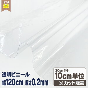 e[uNX rj[   0.2mm 120cm rj[y 30cmȏ10cmPʂ̃Jbg̔ [ւ1.5m(15)܂őΉ\ ʂ蔄 ؂蔄 z