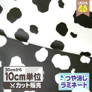 yP2{ `11/11 1:59z ~l[gn   ~l[g n y 10cmPʃJbg [ւ1.5m(15)܂ Ή\ z