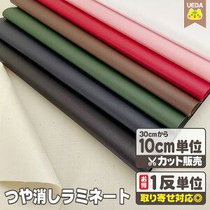 yԁz ~l[gn n IbNX ~l[gy 10cmPʃJbg [ւ1.5m(15)܂őΉ\ ʂ蔄 ؂蔄 z