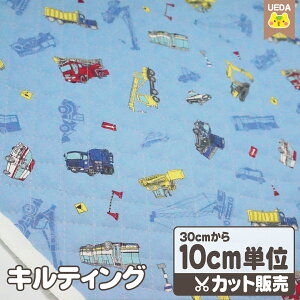 y12/1 P5{z LeBO n z Ƃ̎Ԃ y [ւ 60cm(6)܂ Ή\ 10cmPʃJbg z