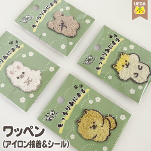 y11/1 P5{z by  ɂ܂ V[by  Aj}y [֑Ή z