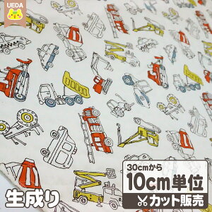 y10%OFF `12/11 1:59z LeBO n z `  IbNX n y [ւ 60cm(6)܂ Ή\ 10cmPʃJbg z FAB10