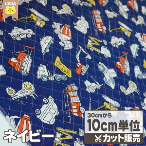 y12/4 2010%OFFz LeBO n z `  IbNX n y [ւ 60cm(6)܂ Ή\ 10cmPʃJbg z FAB10