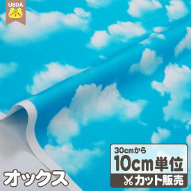 【P2倍 ～4/27 9:59】 オックス生地 布 青空 くも 【 メール便は 250cm(個数25)まで 対応可能 10cm単位カット 】