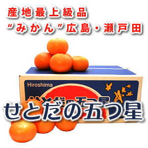 LY@Ƃ̌܂@5kg@STCY