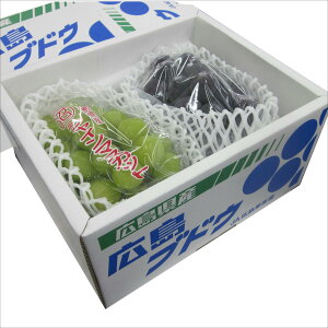 LYsI[lEVC}XJbg 800g (2[)