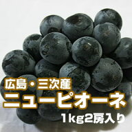 広島・三次産　露地　ニューピオーネ　1kg（2房入り）