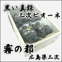 広島・三次産ニューピオーネ2kg（4房入り） ランキングお取り寄せ