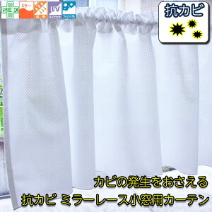 JtFJ[e 50 70  O c RJr ~[  JtFJ[e i UE1601 j 1 140cm × 30E50E70cm V ͗lւ rO