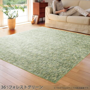 ƂЂ O(X[p[N[Xg[ CA6103)190×240cm ` 3pyszO J[ybg ėp ڐG⊴ \dl Չ h_j R { ۊ ăO }bg